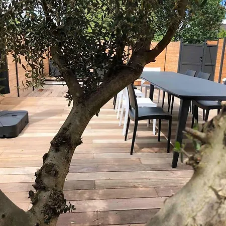 Maison 3 بروز